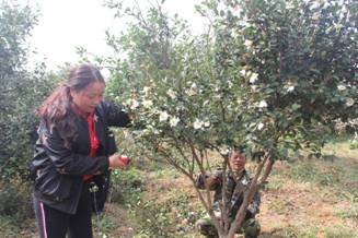 说明: C:\Users\user\Documents\Tencent Files\392614247\FileRecv\IMG_1757.JPG