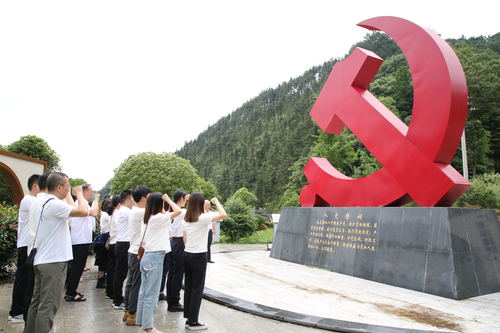 图片5